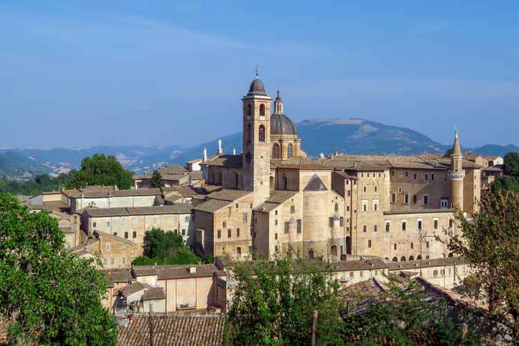 Oligenesi ad Urbino